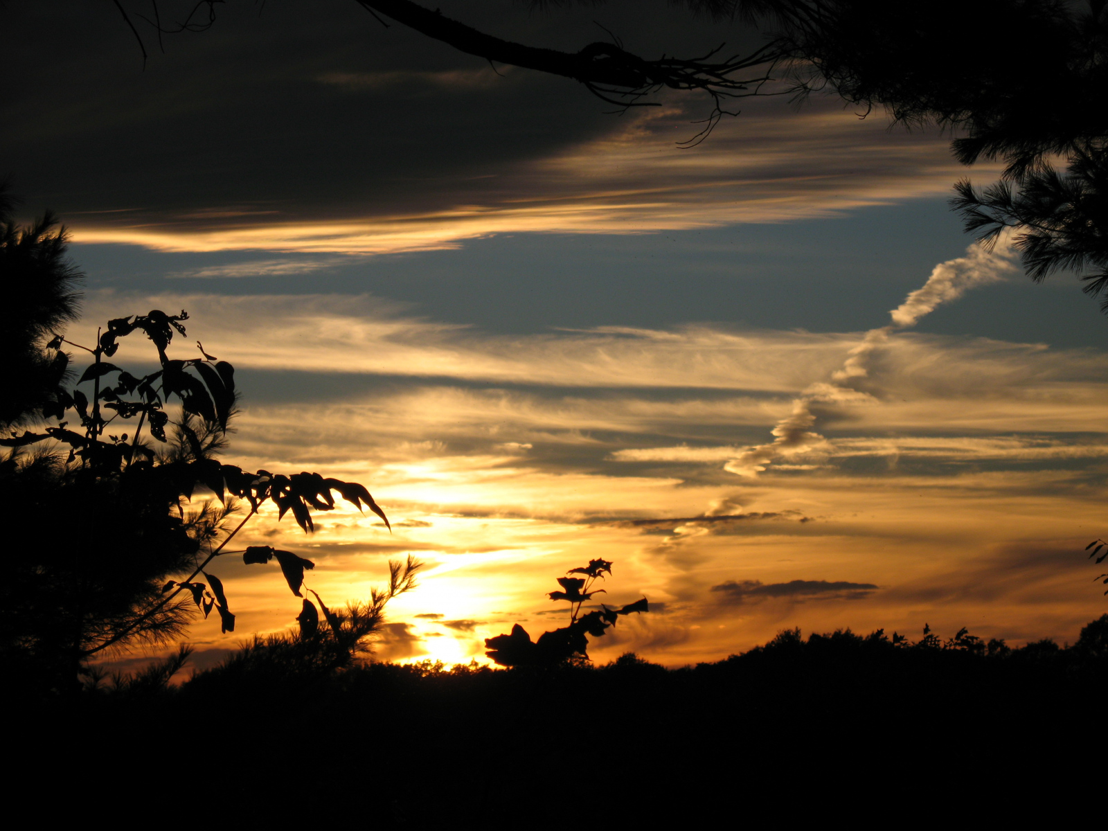 Barb-Wilson-Dock-looking-West