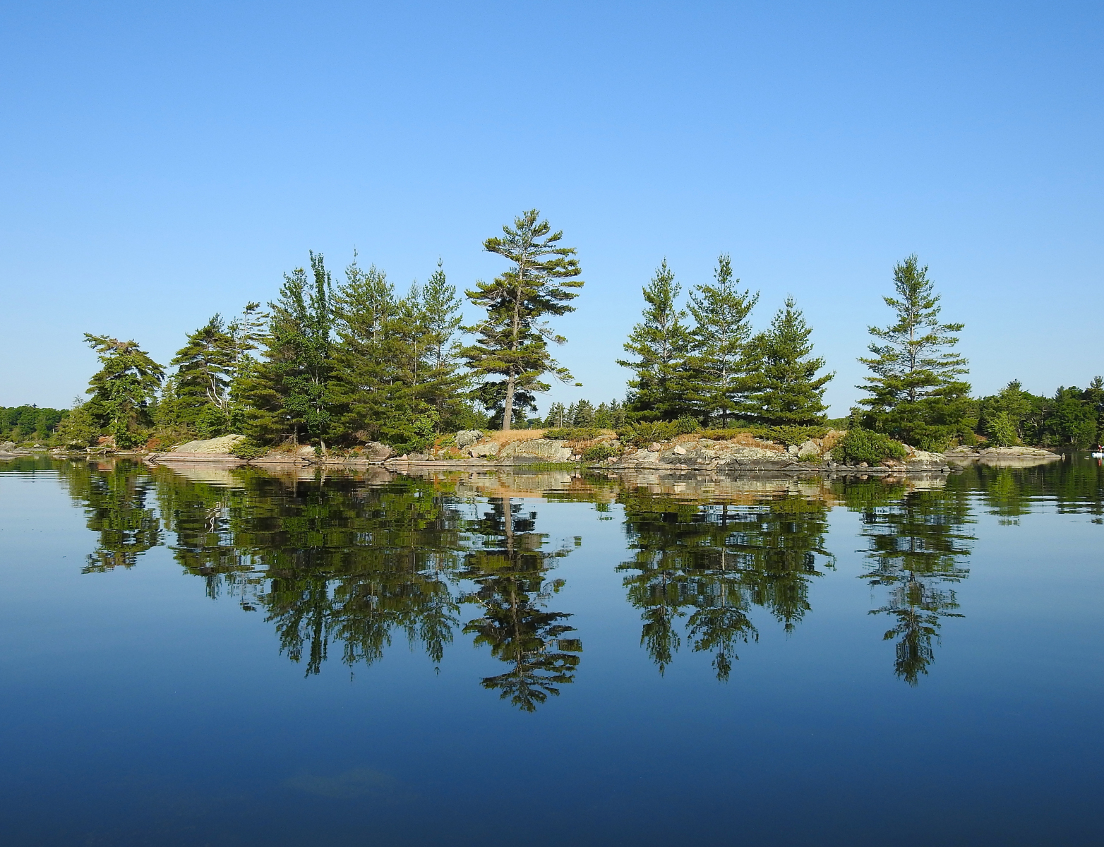 Bob-McWilliams-Reflections