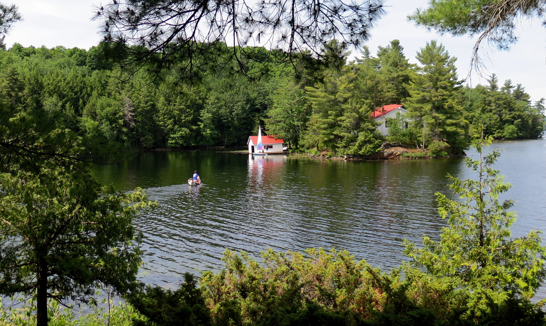 Sidney-Tjepkema-returning