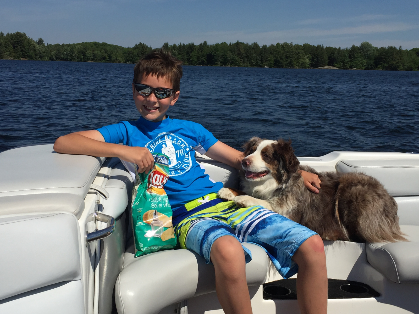 Steven-Newstead-Dog-Days