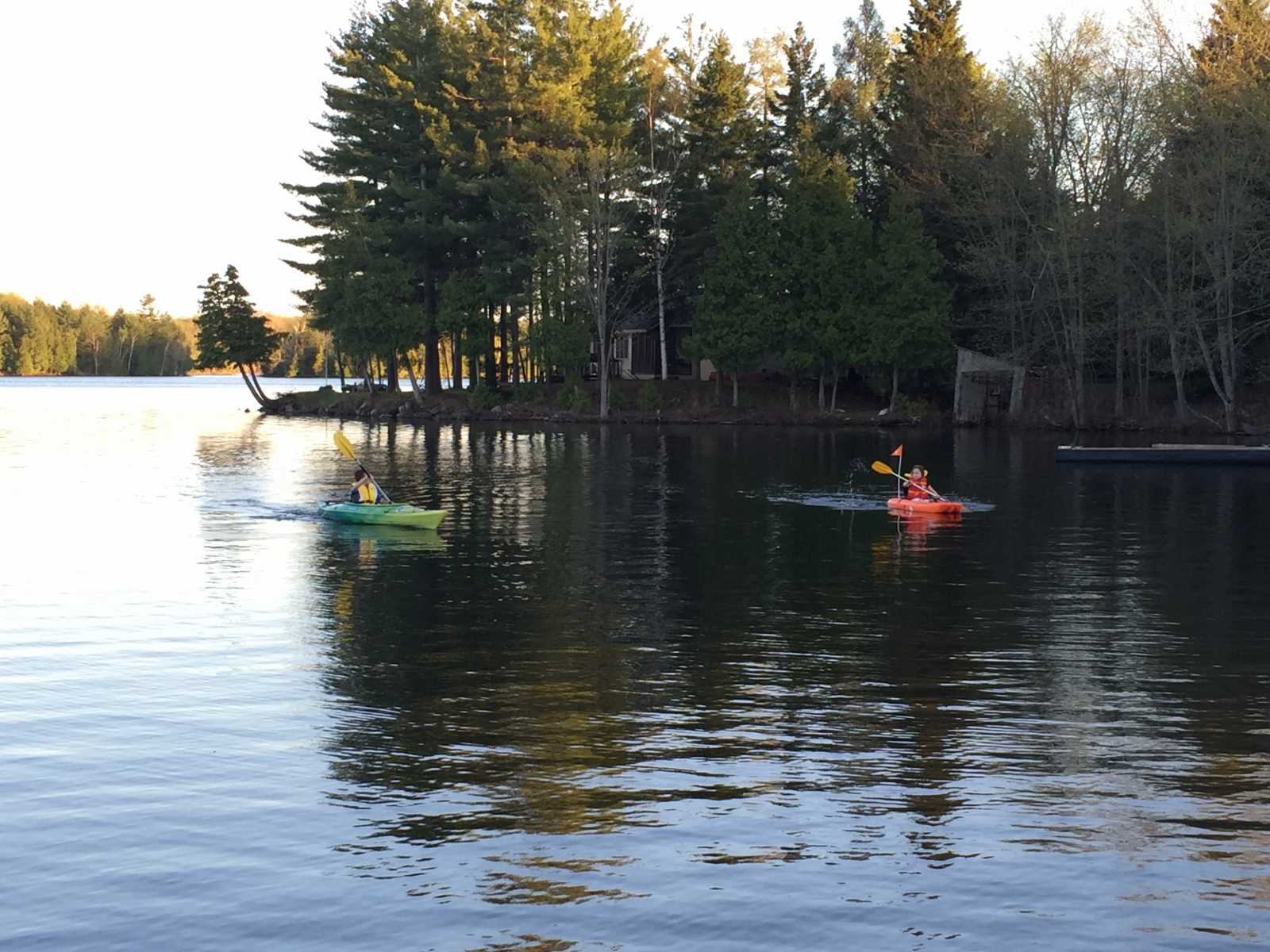 Steven-Newstead-Loons