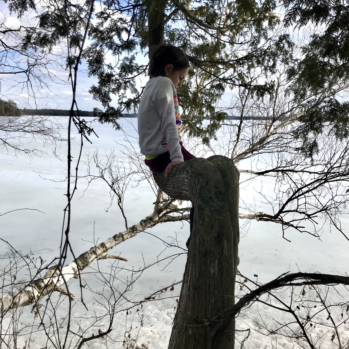 16-shaunamaceachern-tree
