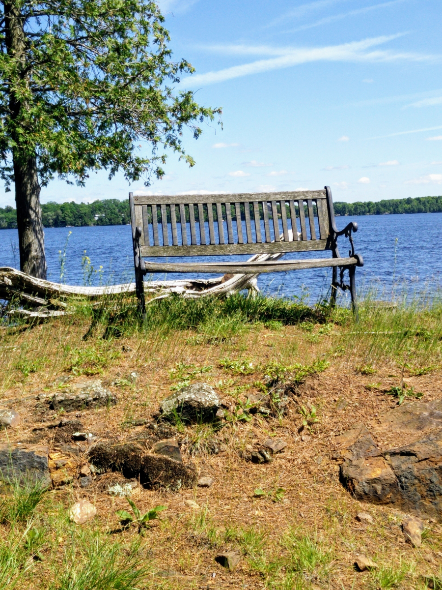 25-rebeccathomson-bench