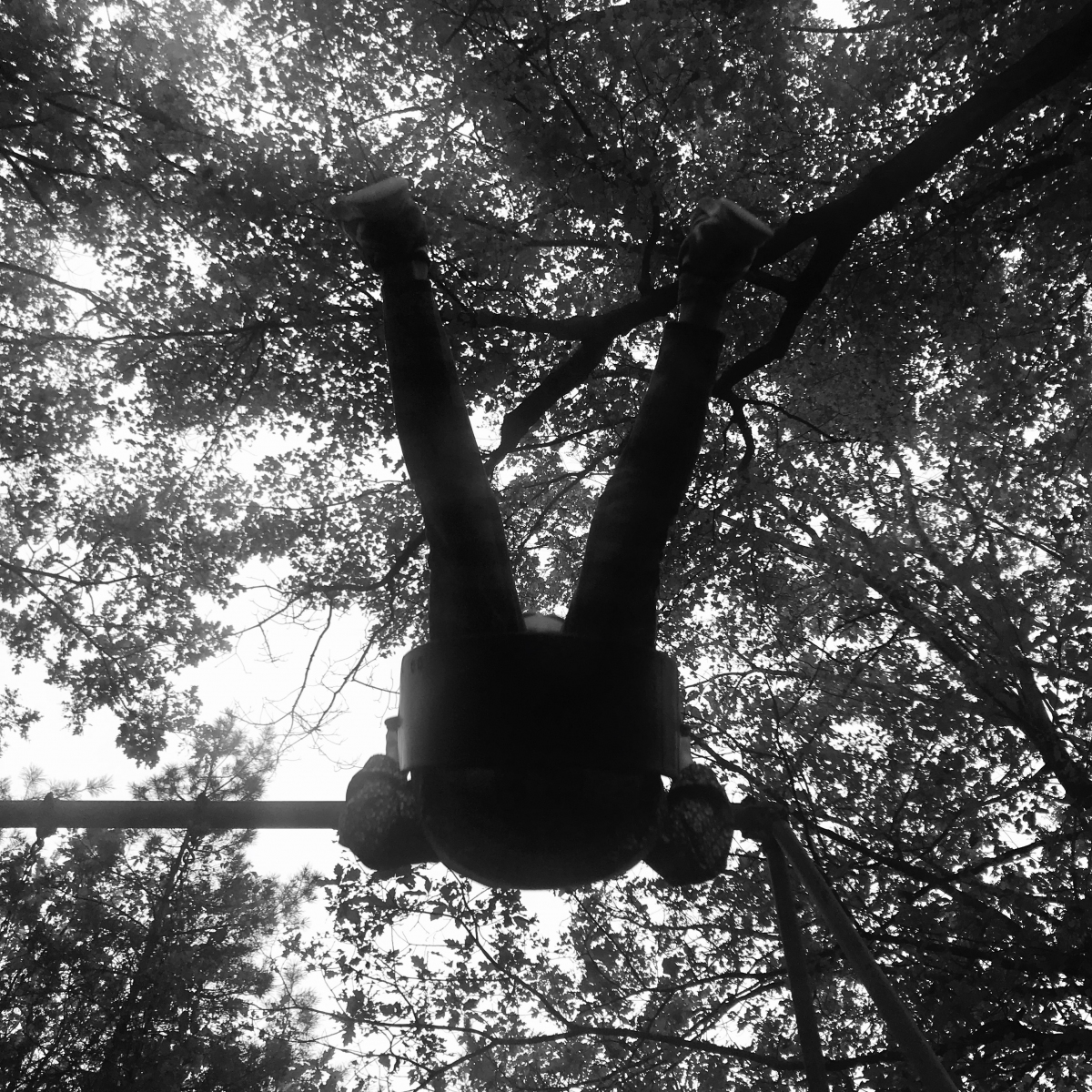 33-shaunamaceachern-limbs